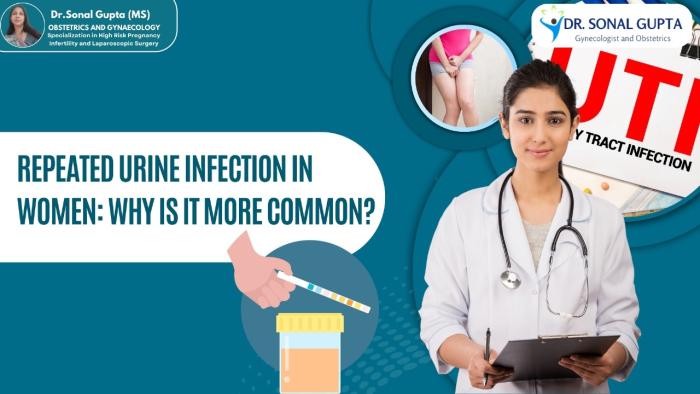 Repeated urine infection in women: why is it more common?