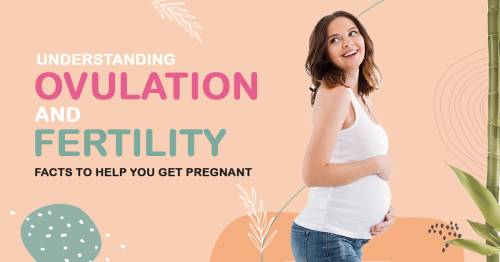 Ovulation and Fertility: Things to know when trying to conceive