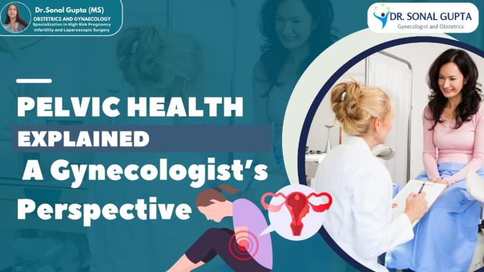 ⁠Pelvic Health Explained: A Gynecologist’s Perspective